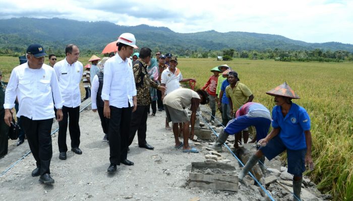 Lebih dari Target, Sepanjang 350 Ribu Kilometer Jalan Terbangun Diayai Dana Desa