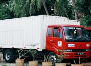 DAMRI Logistik Buka Layanan Kirim Paket Besar ke Palangkaraya, Bisa Kirim dari 17 Kabupaten